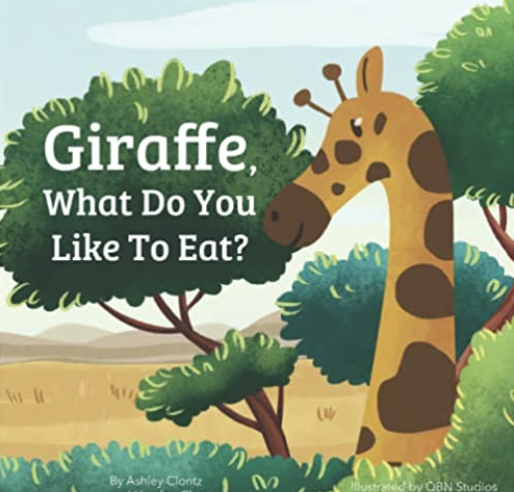 QBN Studios illustrated book cover